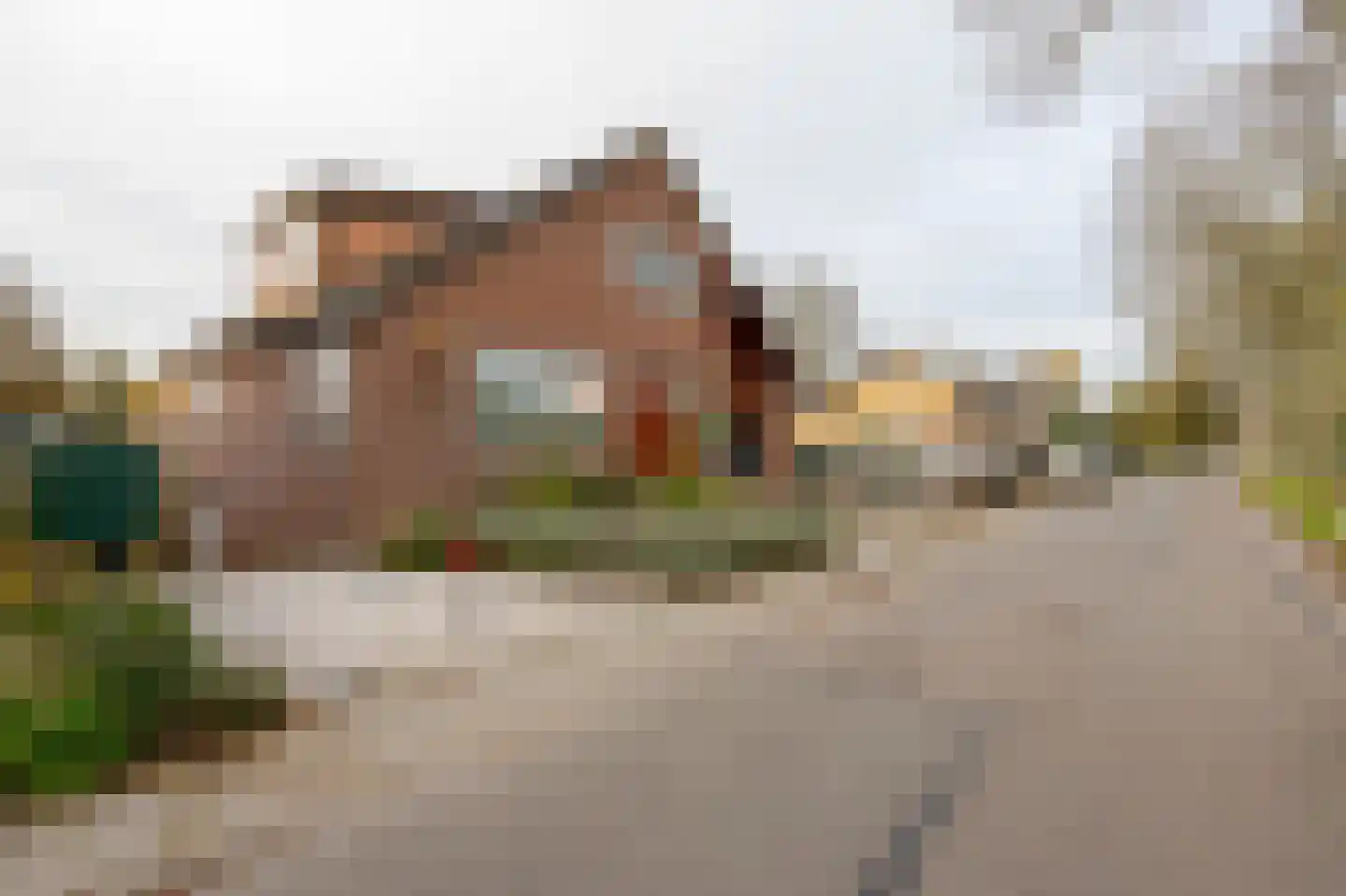 Tijsjesdijk 57 Rhoon thumbnail 41