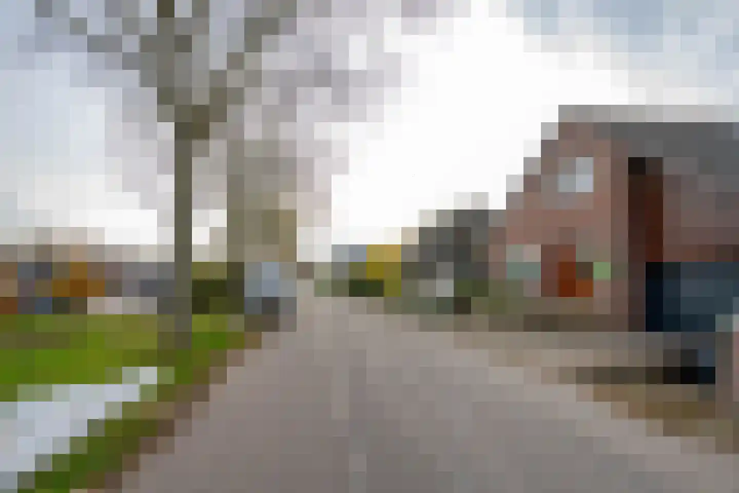 Tijsjesdijk 57 Rhoon thumbnail 5