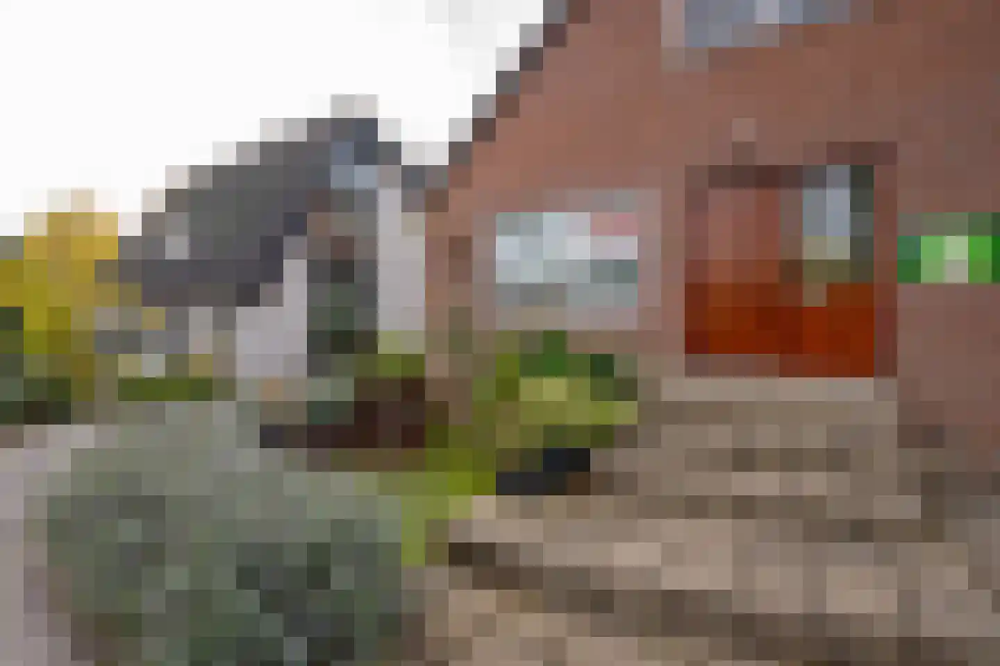 Tijsjesdijk 57 Rhoon thumbnail 6