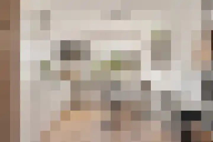 Tijsselinglaan 12 Barneveld thumbnail 11
