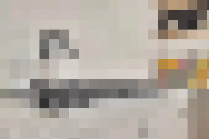 Tijsselinglaan 12 Barneveld thumbnail 14