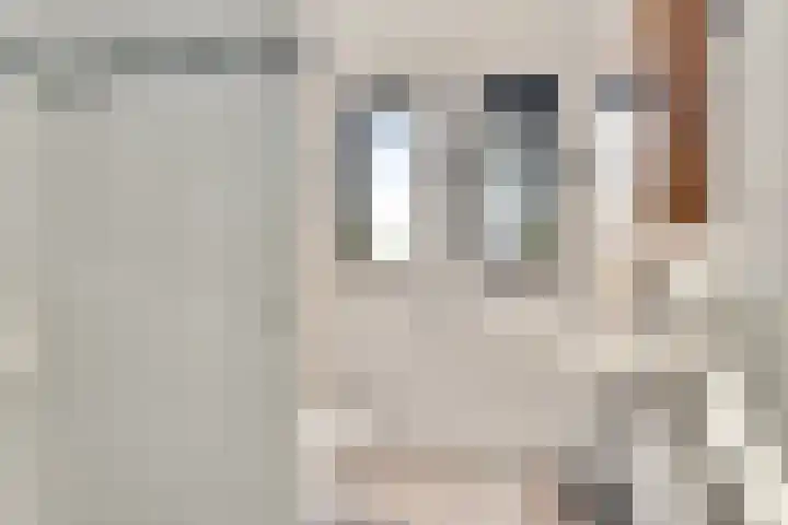 Tijsselinglaan 12 Barneveld thumbnail 19
