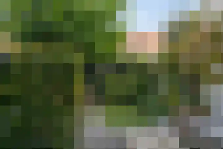 Tijsselinglaan 12 Barneveld thumbnail 33