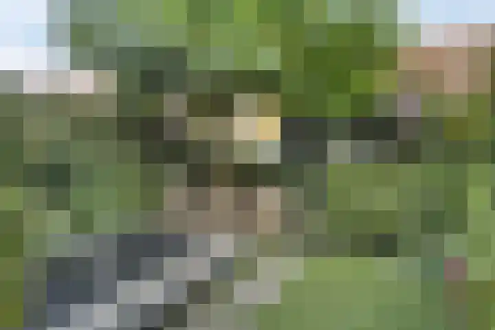Tijsselinglaan 12 Barneveld thumbnail 34