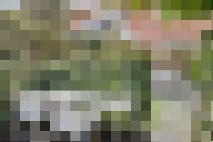 Tijsselinglaan 12 Barneveld thumbnail 35