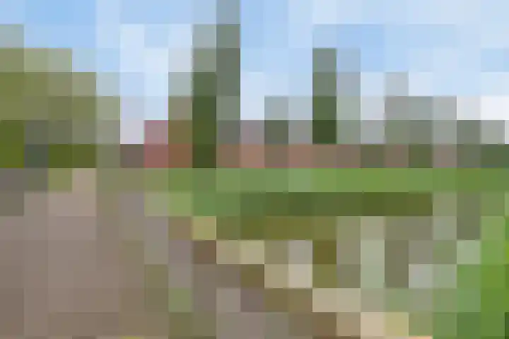 Tijsselinglaan 12 Barneveld thumbnail 39