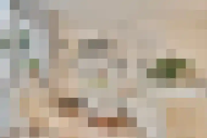 Tijsselinglaan 12 Barneveld thumbnail 8