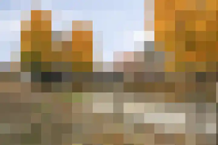 Tijsselinglaan 24 Barneveld thumbnail 36