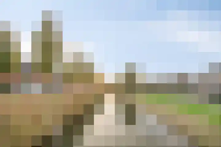 Tijsselinglaan 24 Barneveld thumbnail 37