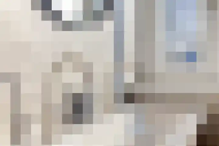 Tijsselinglaan 28 Barneveld thumbnail 21