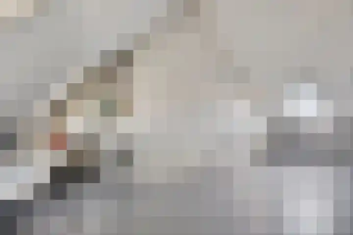 Tijsselinglaan 28 Barneveld thumbnail 28
