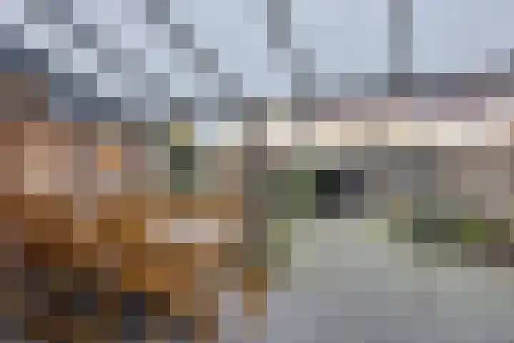Tijsselinglaan 28 Barneveld thumbnail 29