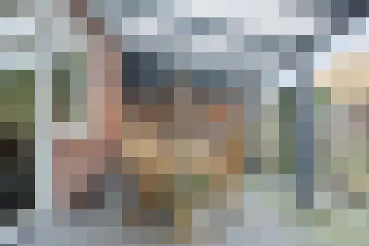Tijsselinglaan 28 Barneveld thumbnail 30