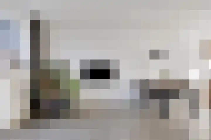 Tijsselinglaan 28 Barneveld thumbnail 8