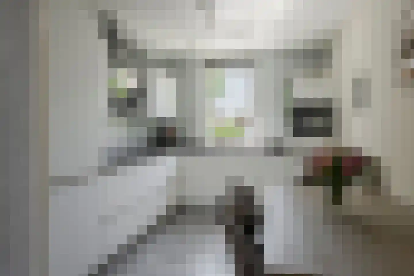 Tijsselinglaan 40 Barneveld thumbnail 15