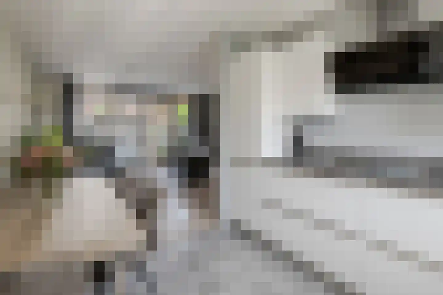 Tijsselinglaan 40 Barneveld thumbnail 19