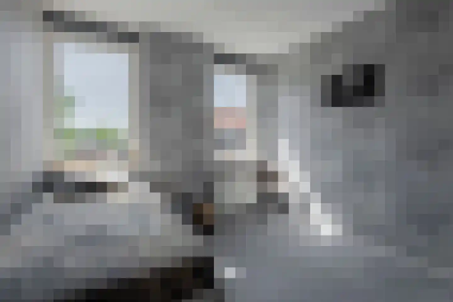 Tijsselinglaan 40 Barneveld thumbnail 28