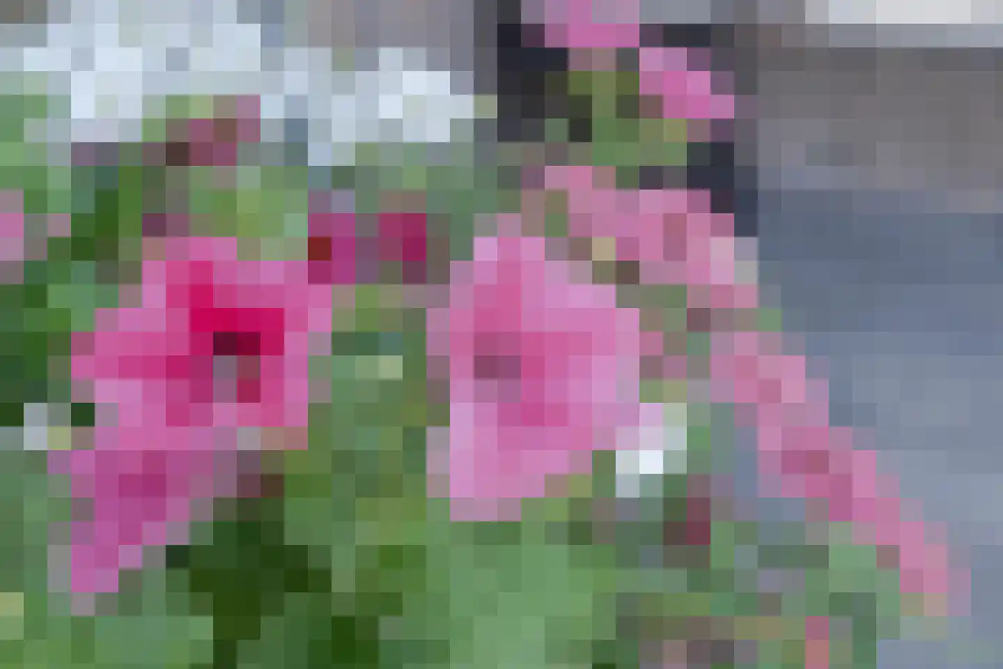 Tijsselinglaan 40 Barneveld thumbnail 38