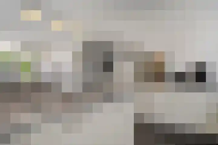 Tijsselinglaan 54 Barneveld thumbnail 12