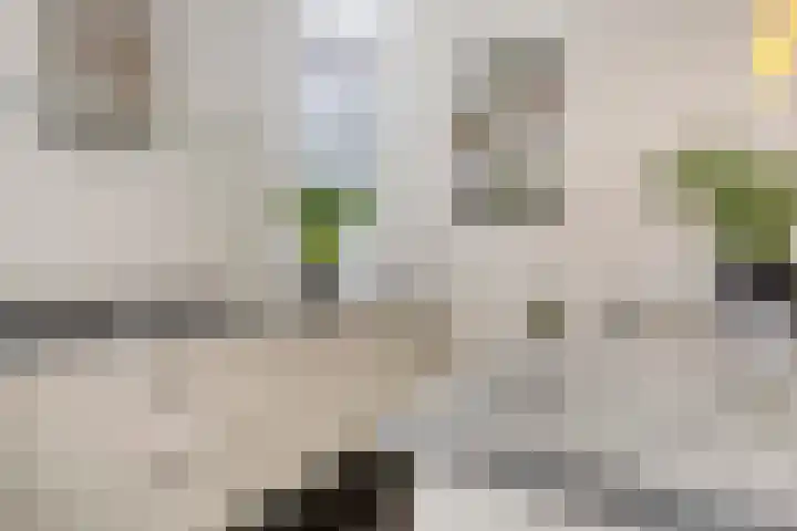 Tijsselinglaan 54 Barneveld thumbnail 14