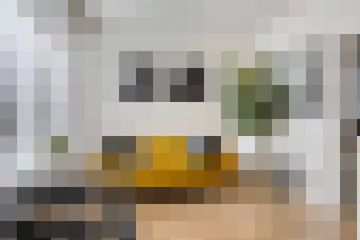 Tijsselinglaan 54 Barneveld thumbnail 15