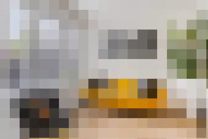 Tijsselinglaan 54 Barneveld thumbnail 16