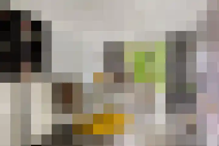 Tijsselinglaan 54 Barneveld thumbnail 17