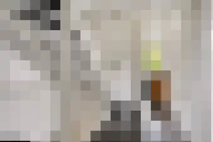 Tijsselinglaan 54 Barneveld thumbnail 19