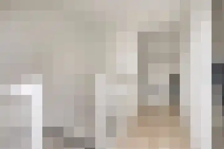 Tijsselinglaan 54 Barneveld thumbnail 27