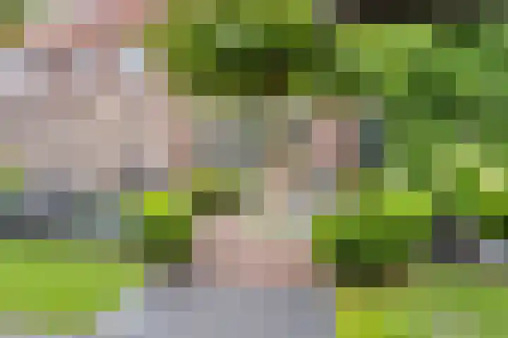 Tijsselinglaan 54 Barneveld thumbnail 33