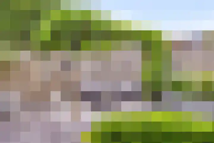 Tijsselinglaan 54 Barneveld thumbnail 34