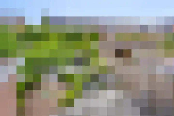 Tijsselinglaan 54 Barneveld thumbnail 35