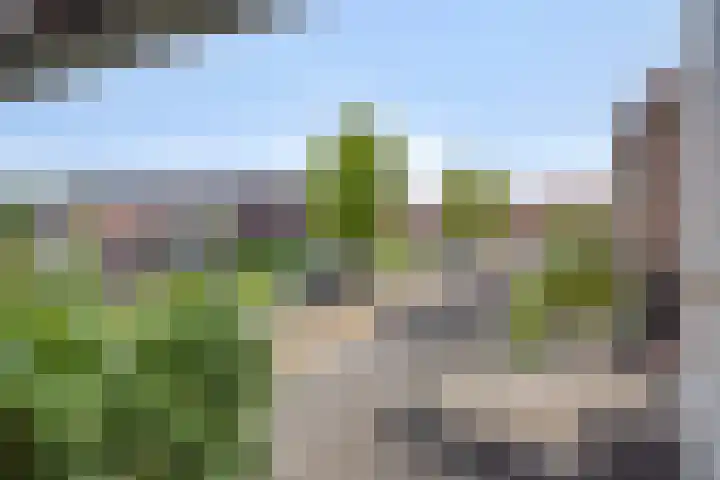Tijsselinglaan 54 Barneveld thumbnail 40