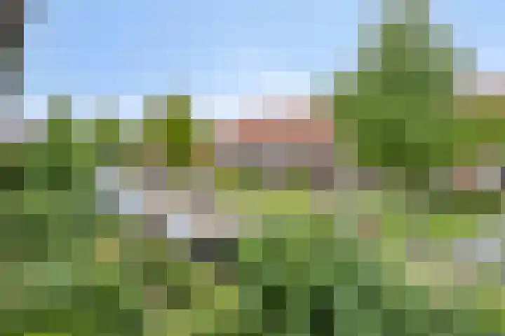 Tijsselinglaan 54 Barneveld thumbnail 41