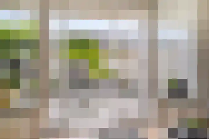 Tijsselinglaan 54 Barneveld thumbnail 7