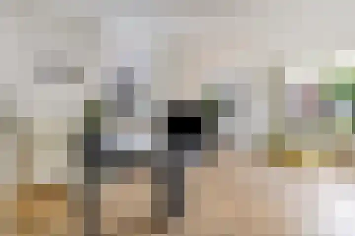 Tijsselinglaan 54 Barneveld thumbnail 9