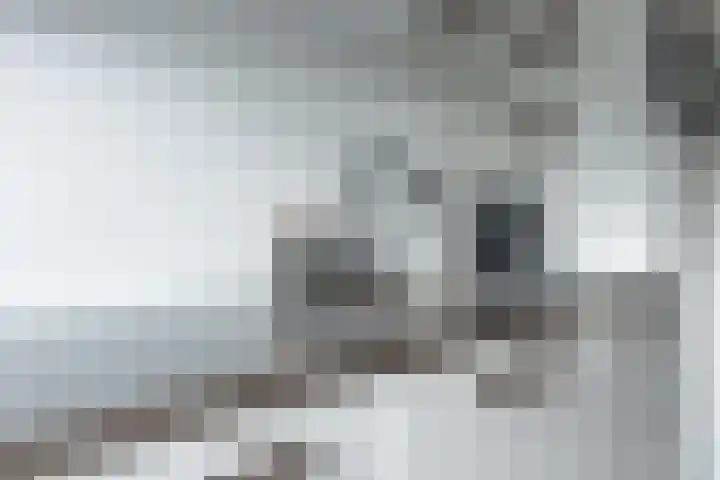Tijsselinglaan 60 Barneveld thumbnail 15