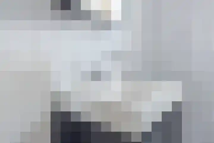 Tijsselinglaan 60 Barneveld thumbnail 21