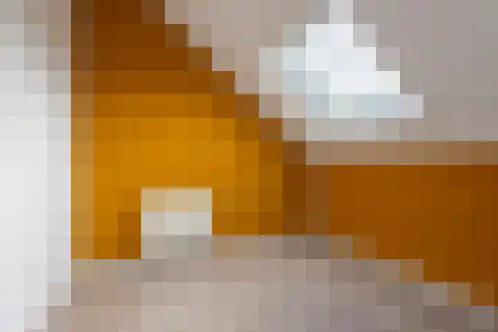 Tijsselinglaan 60 Barneveld thumbnail 28