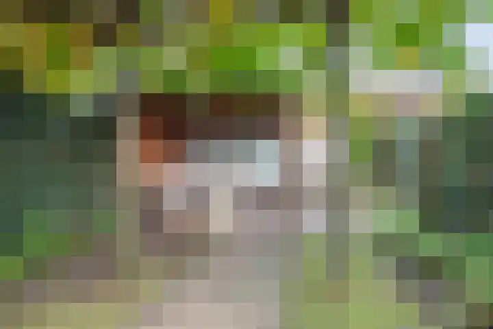 Tijsselinglaan 60 Barneveld thumbnail 30