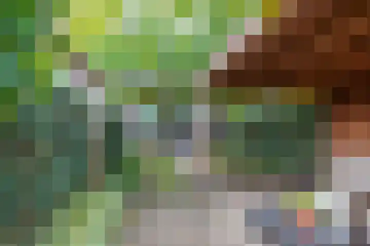 Tijsselinglaan 60 Barneveld thumbnail 32