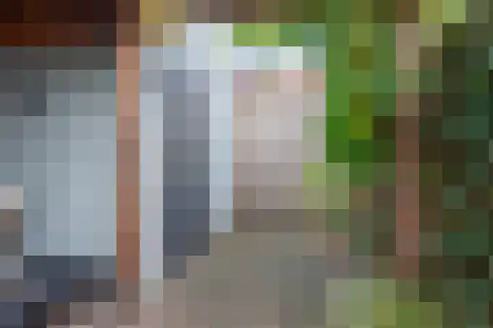 Tijsselinglaan 60 Barneveld thumbnail 33