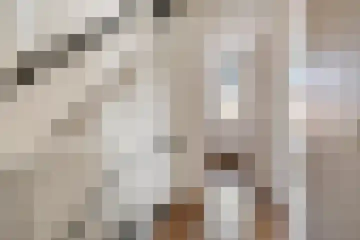 Tijsselinglaan 66 Barneveld thumbnail 15