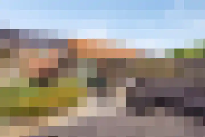Tijsselinglaan 66 Barneveld thumbnail 28