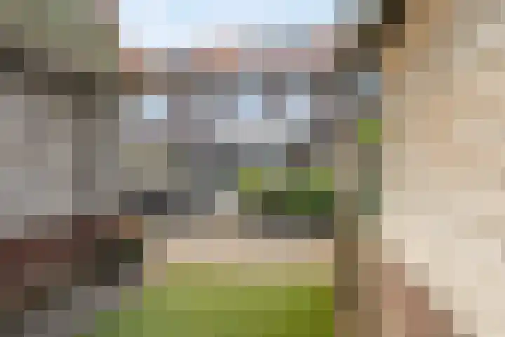 Tijsselinglaan 66 Barneveld thumbnail 29