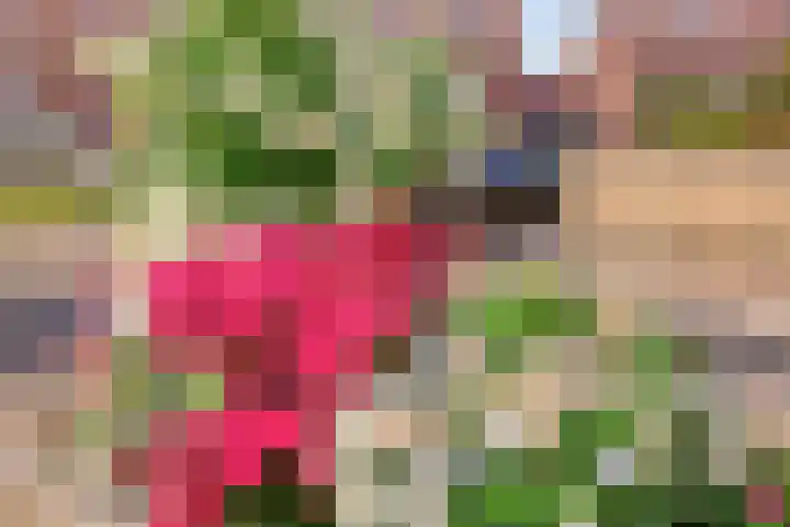 Tijsselinglaan 66 Barneveld thumbnail 31
