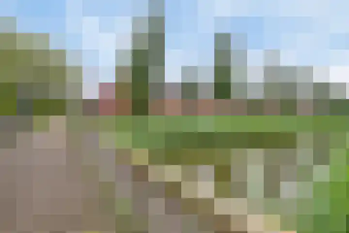 Tijsselinglaan 66 Barneveld thumbnail 34