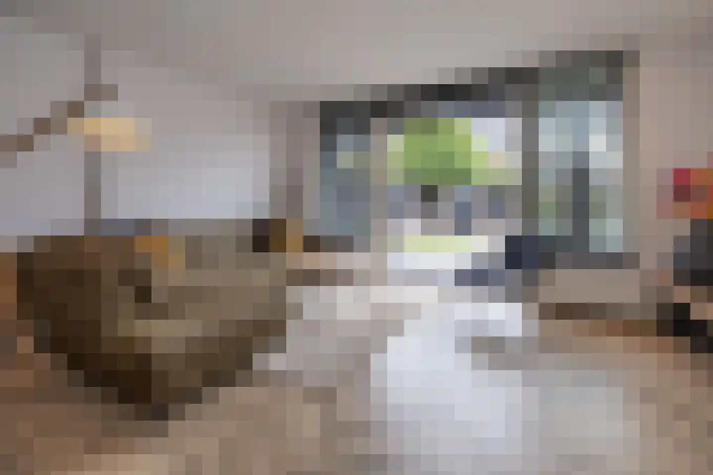 Tijsselinglaan 72 Barneveld thumbnail 12