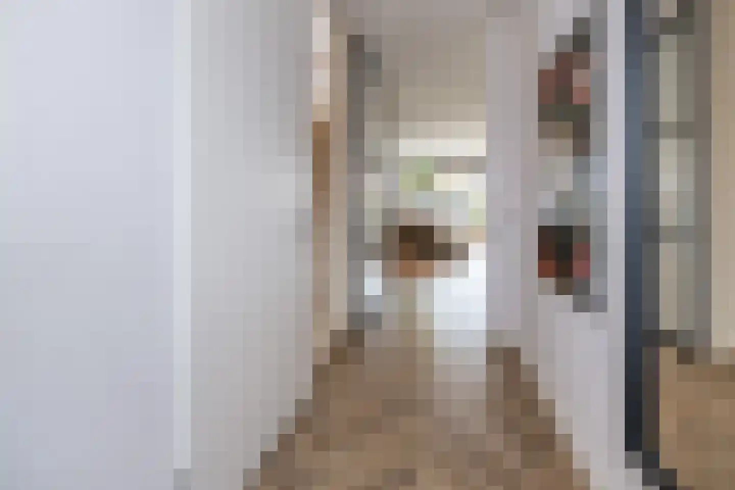 Tijsselinglaan 72 Barneveld thumbnail 16
