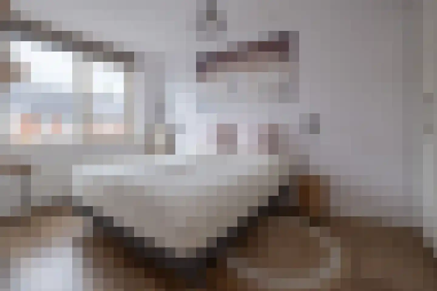 Tijsselinglaan 72 Barneveld thumbnail 17